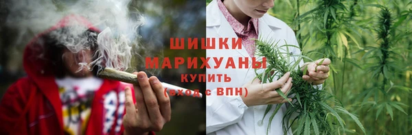 ГАЛЛЮЦИНОГЕННЫЕ ГРИБЫ Балабаново