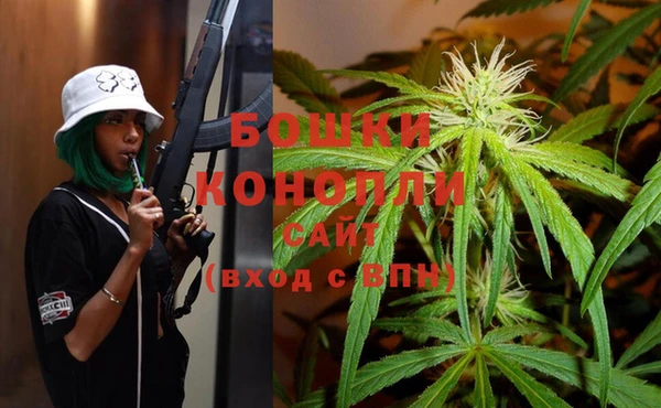 ГАЛЛЮЦИНОГЕННЫЕ ГРИБЫ Балабаново